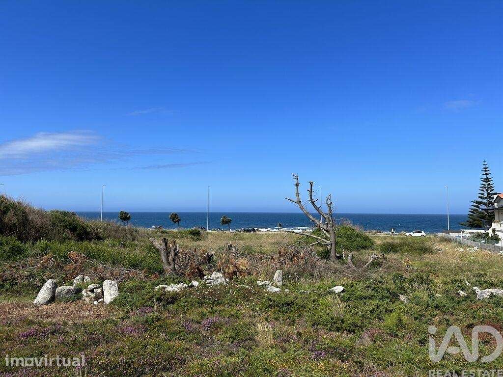 Terreno em Vila Praia de Âncora de 3300,00 m2 - Grande imagem: 5/11