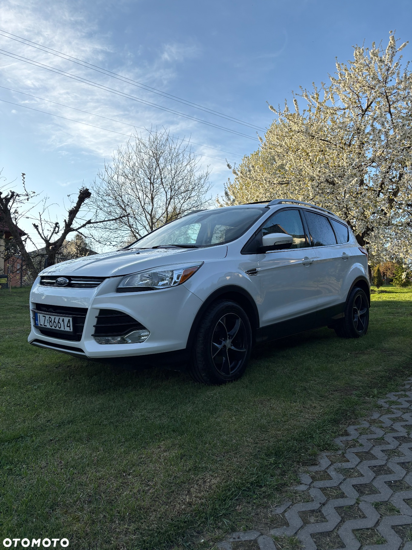 Ford Escape 2.0 EcoBoost AWD Titanium - 10