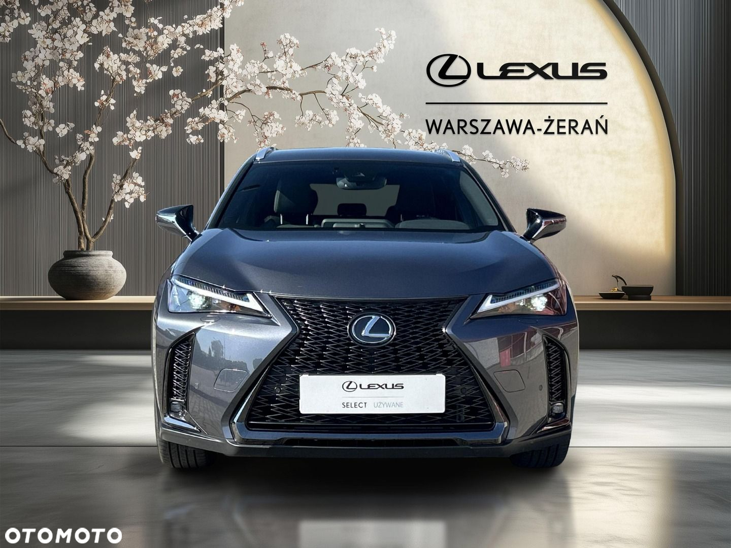 Lexus UX 250h GPF F Sport Design 2WD - 10