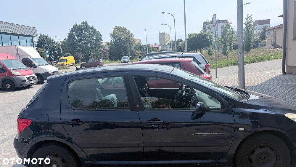 Peugeot 307 - 3