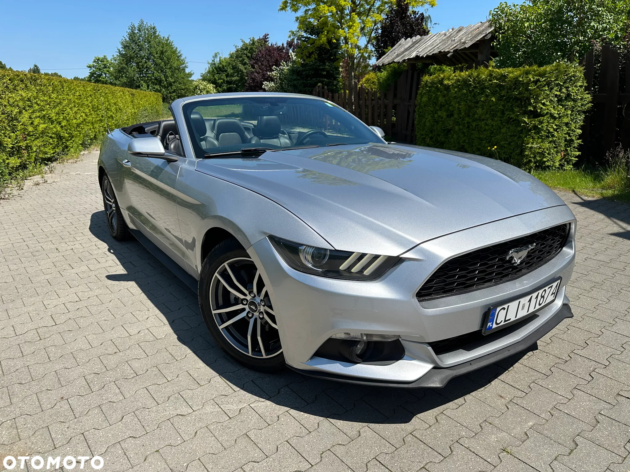 Ford Mustang Cabrio 2.3 Eco Boost - 5