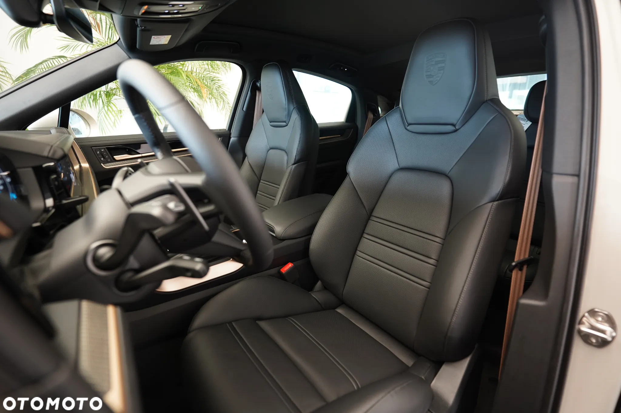 Porsche Cayenne Coupe S E-Hybrid PHEV - 9
