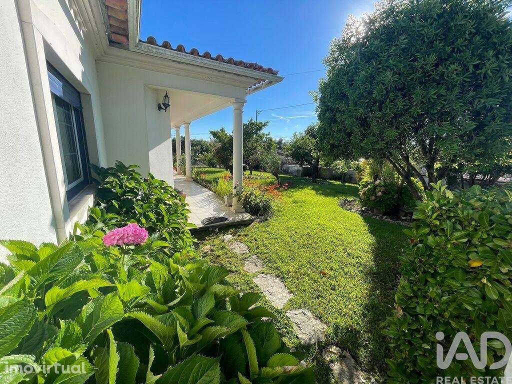 Moradia térrea T4 em Pelariga de 386 m2 - Grande imagem: 3/29