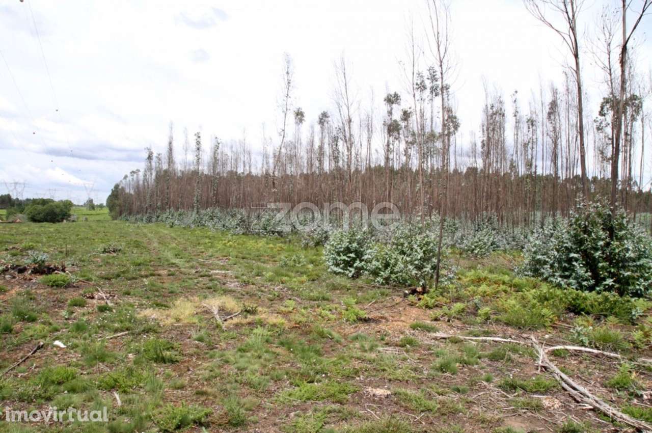 Terreno Rustico junto à A25 - Grande imagem: 5/17