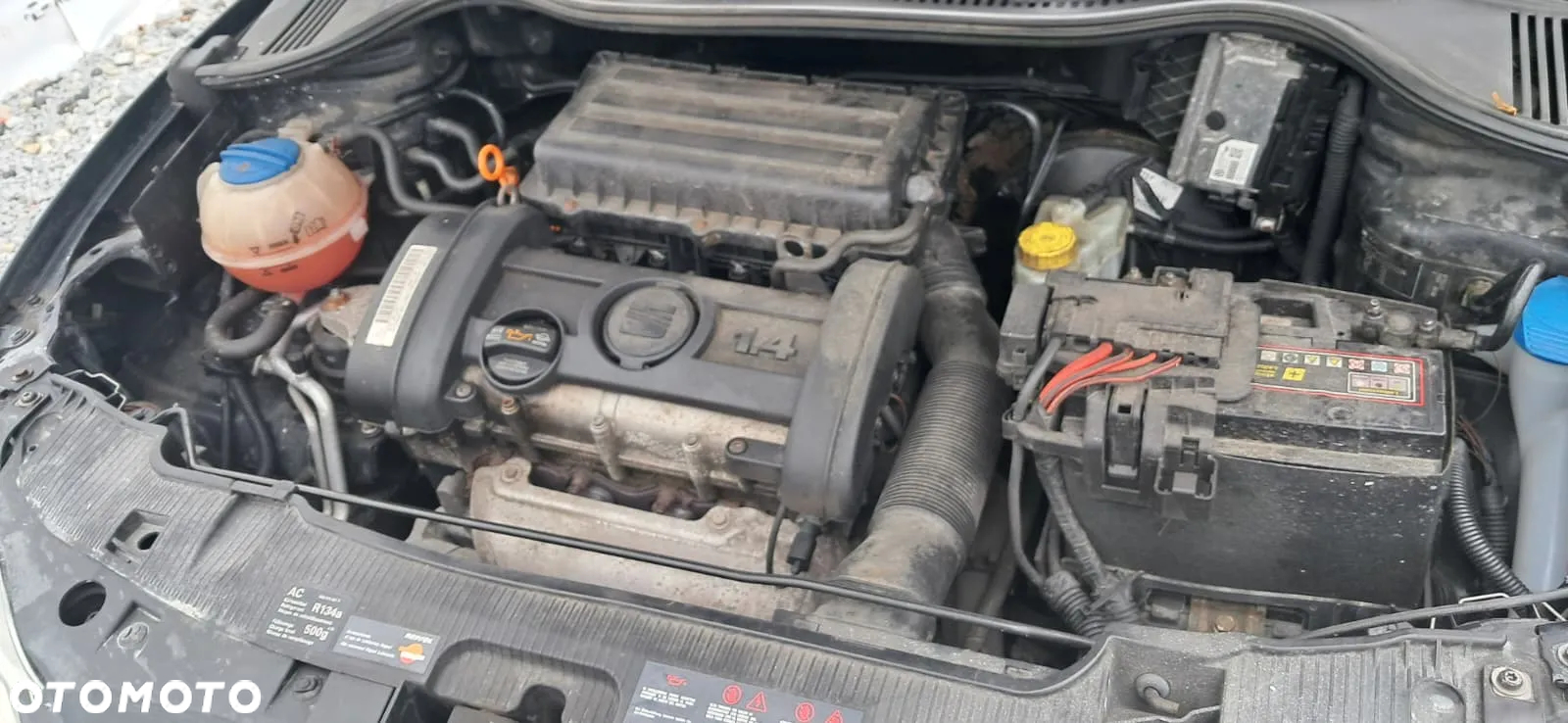 Seat Ibiza 1.4 16V Entry - 15