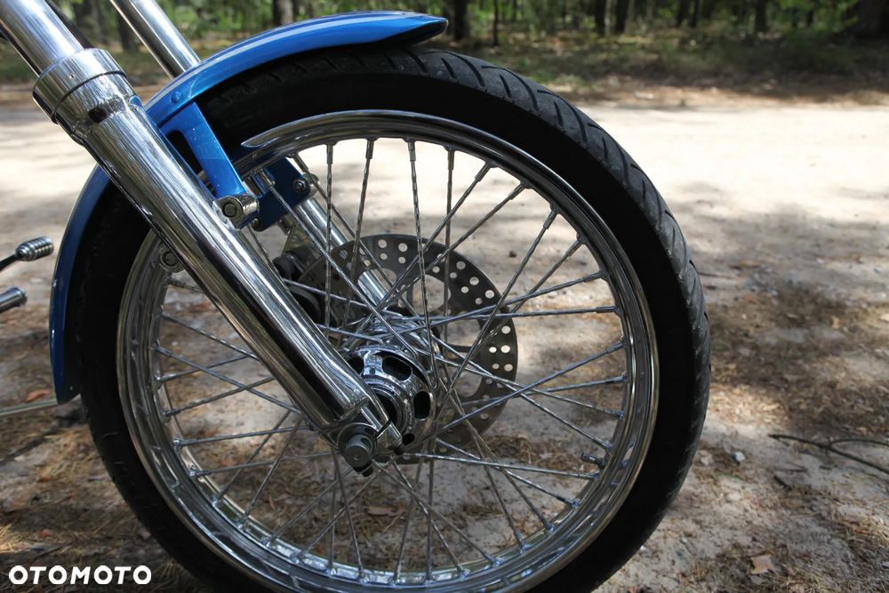 Harley-Davidson Softail - 11