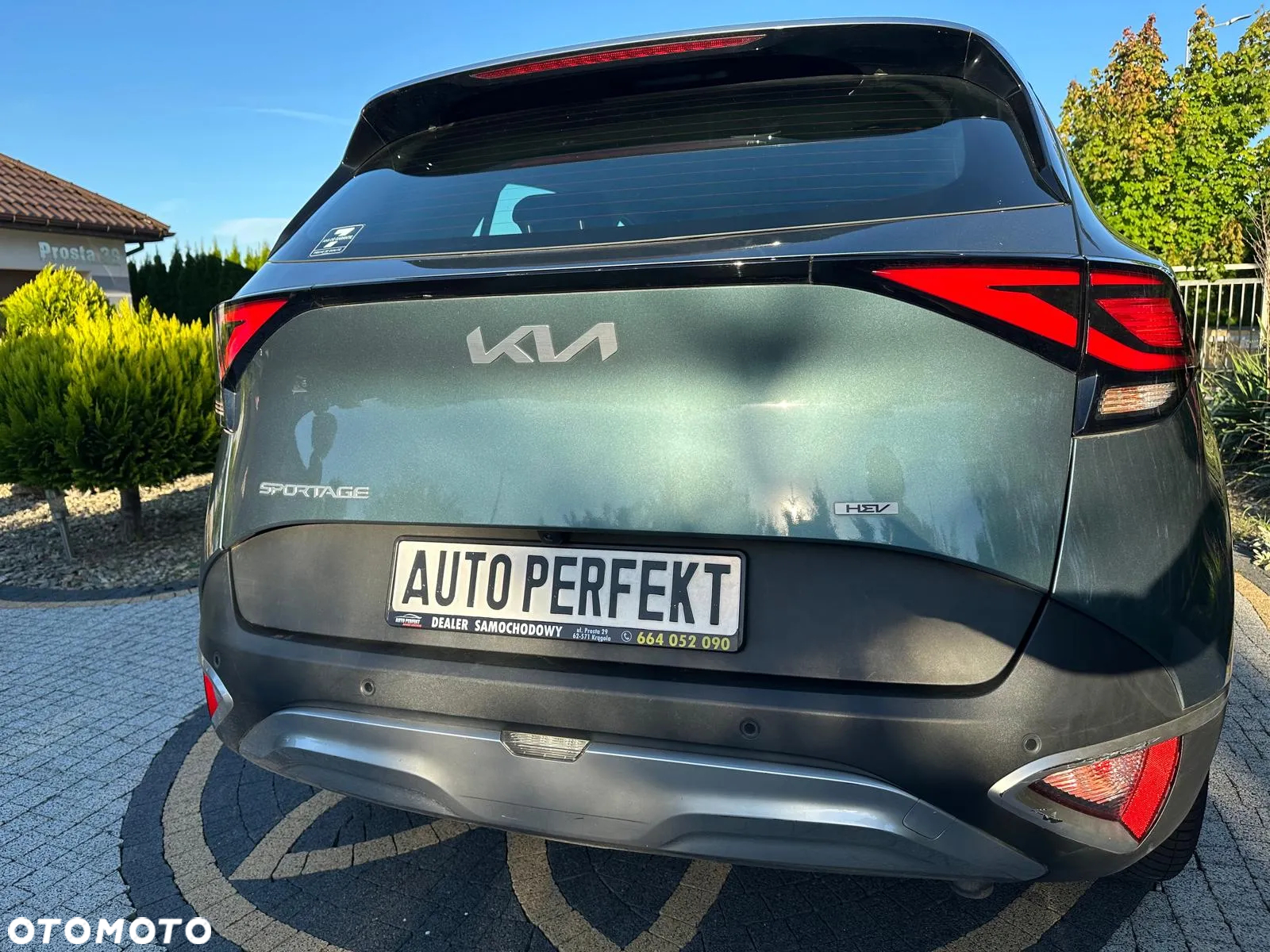 Kia Sportage 1.6 T-GDI MHEV L 2WD DCT - 6