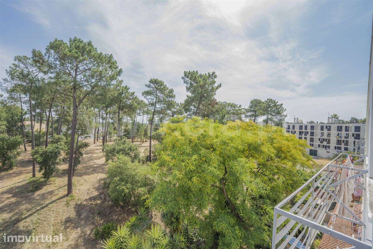 Apartamento T3 ; Pinhal de Negreiros - Grande imagem: 4/17