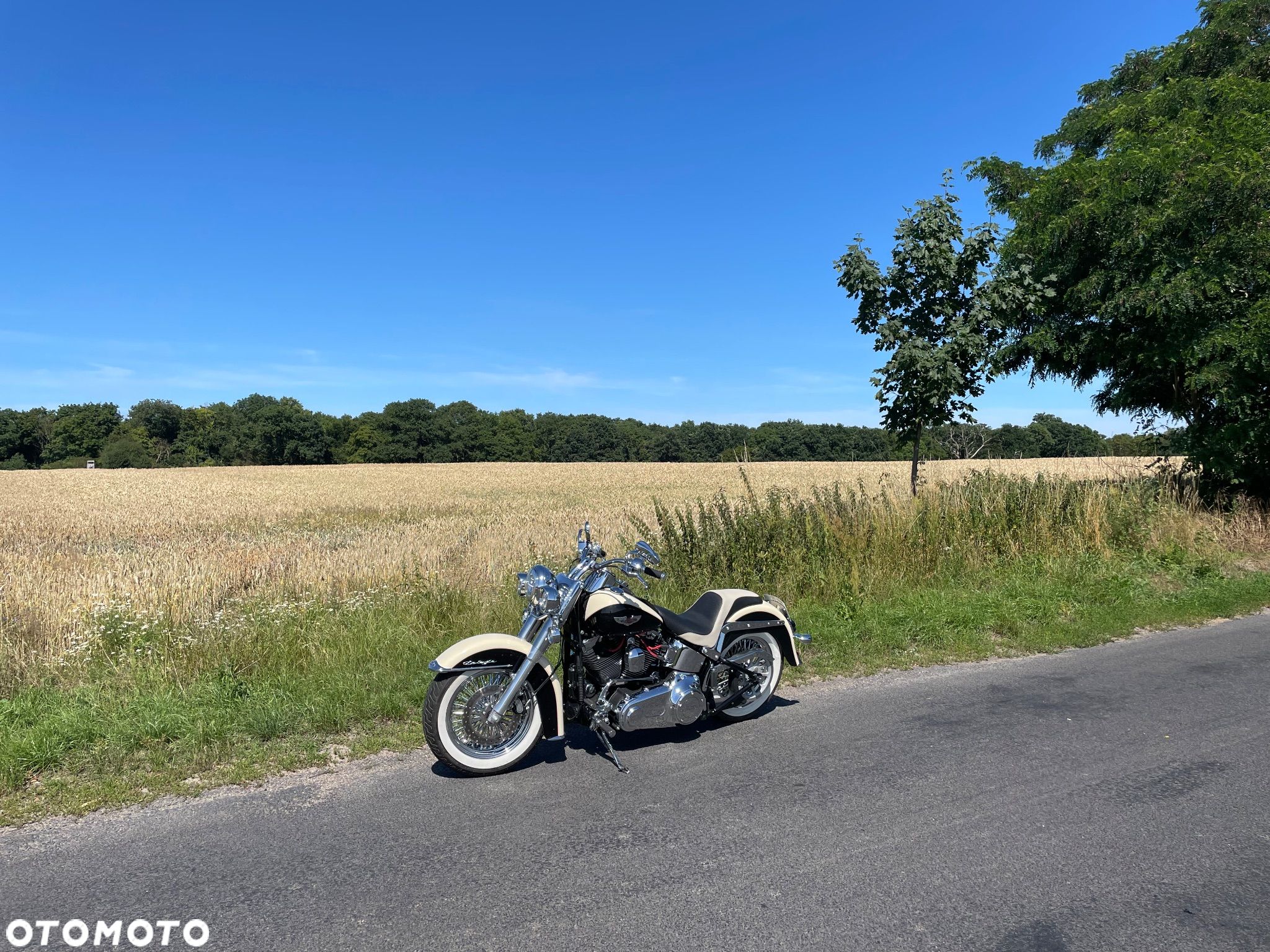 Harley-Davidson Softail Heritage Classic - 1