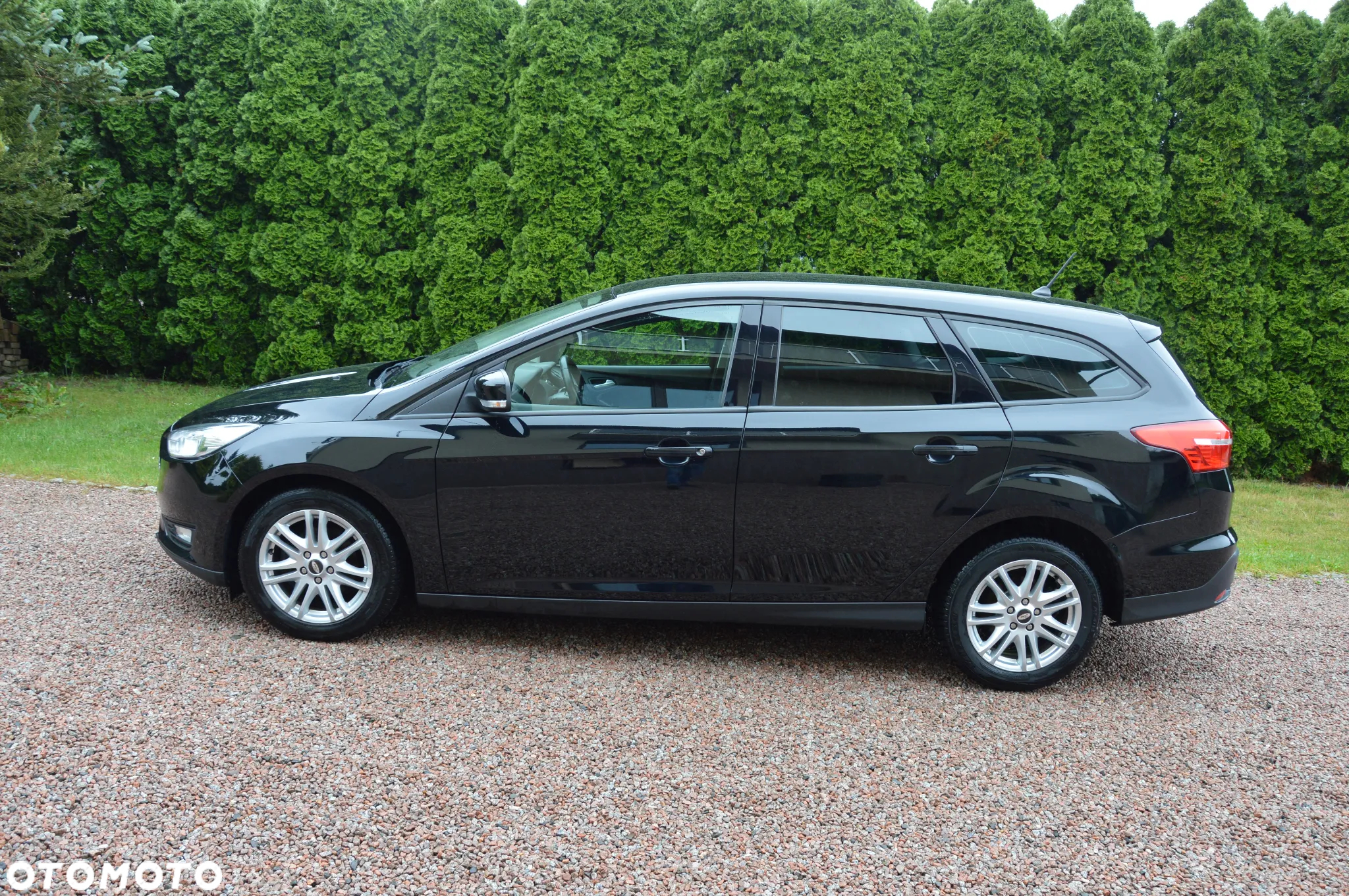 Ford Focus - 16