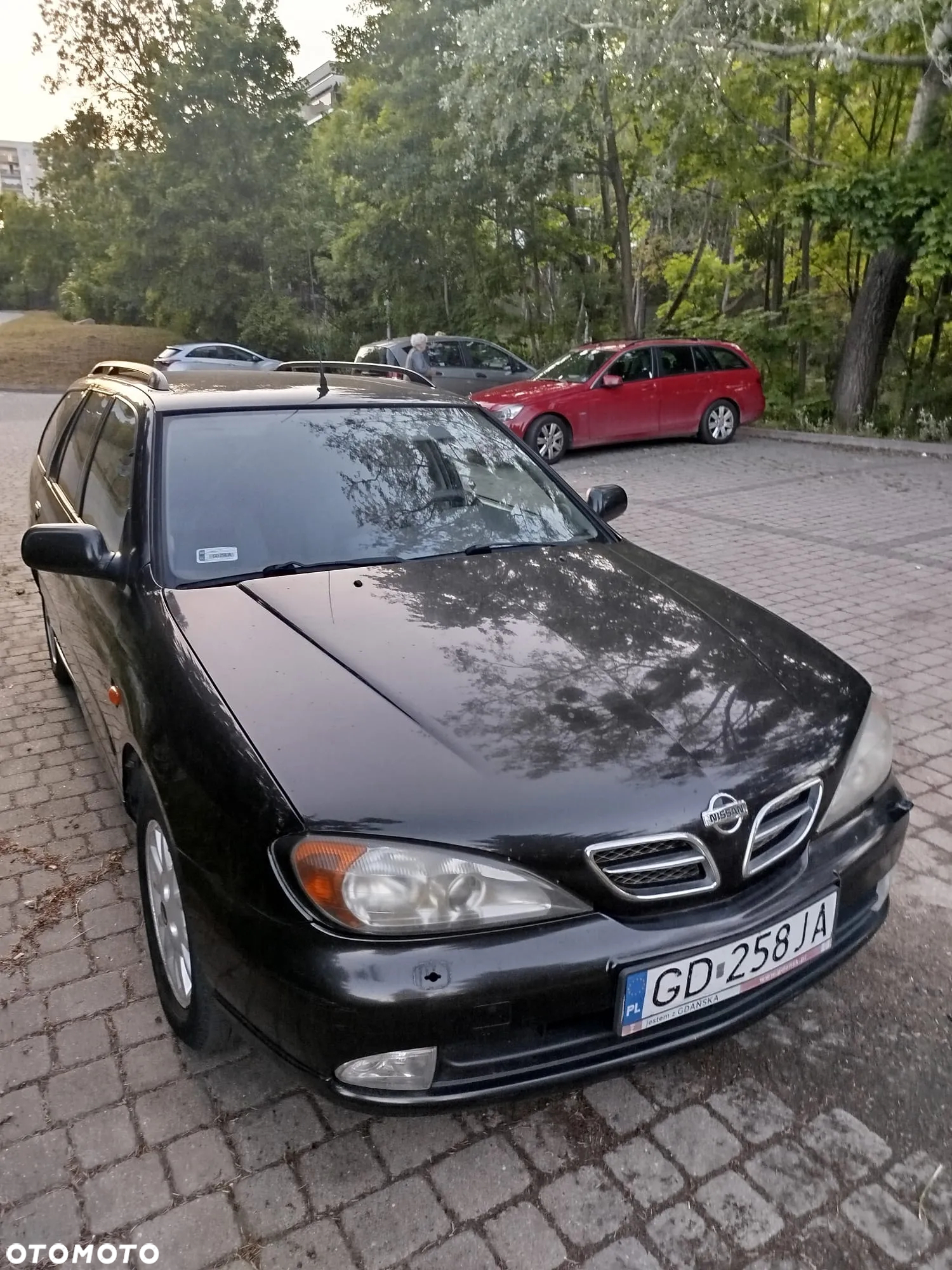 Nissan Primera 2.0 Comfort High - 12