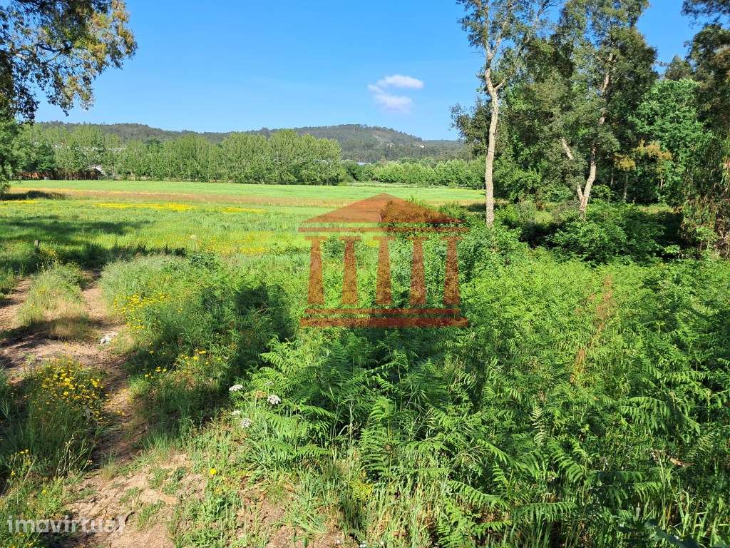 TERRENO PARA CONSTRUÇÃO - MARTIM - BARCELOS - Grande imagem: 4/8