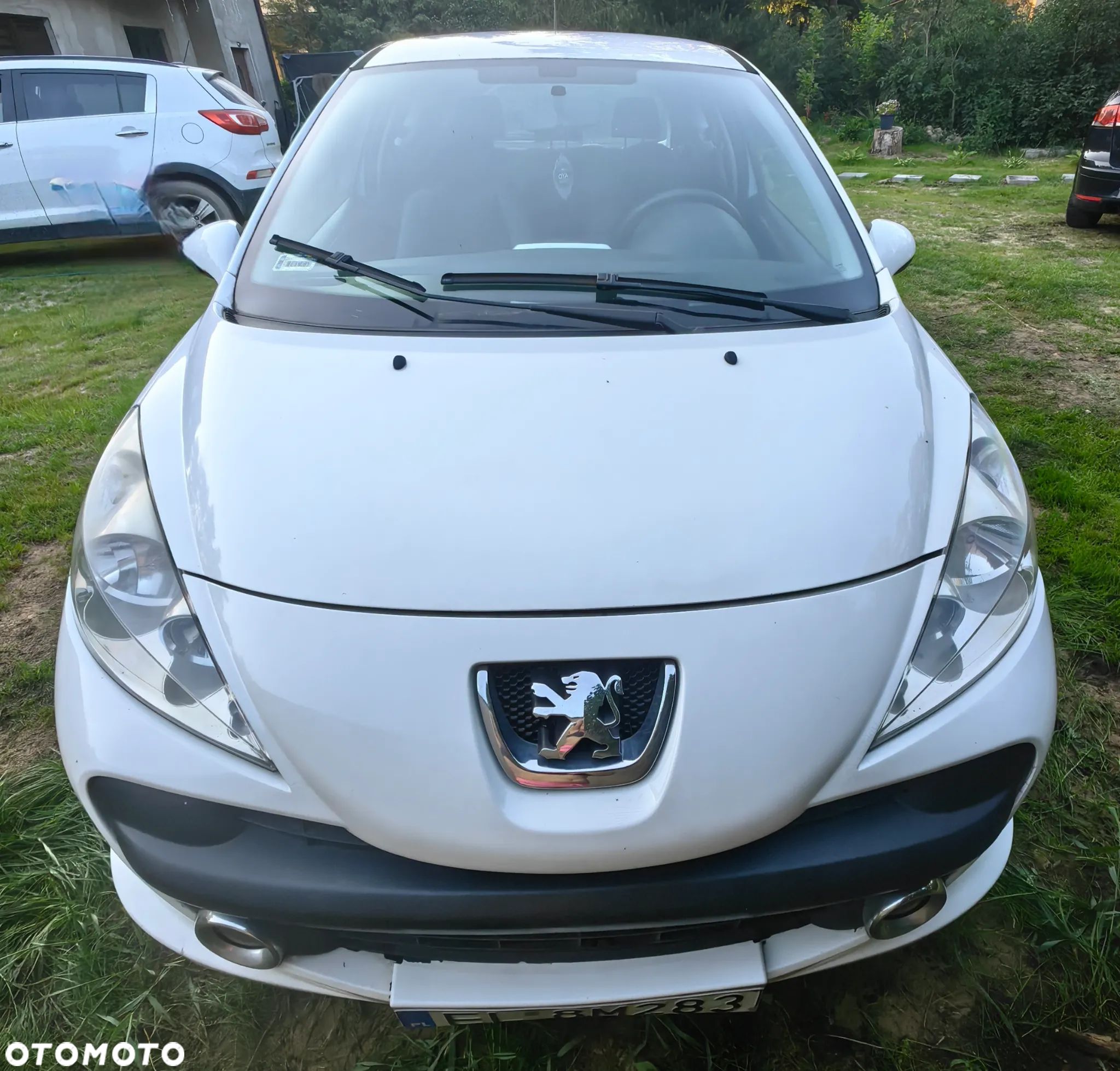 Peugeot 207 - 1