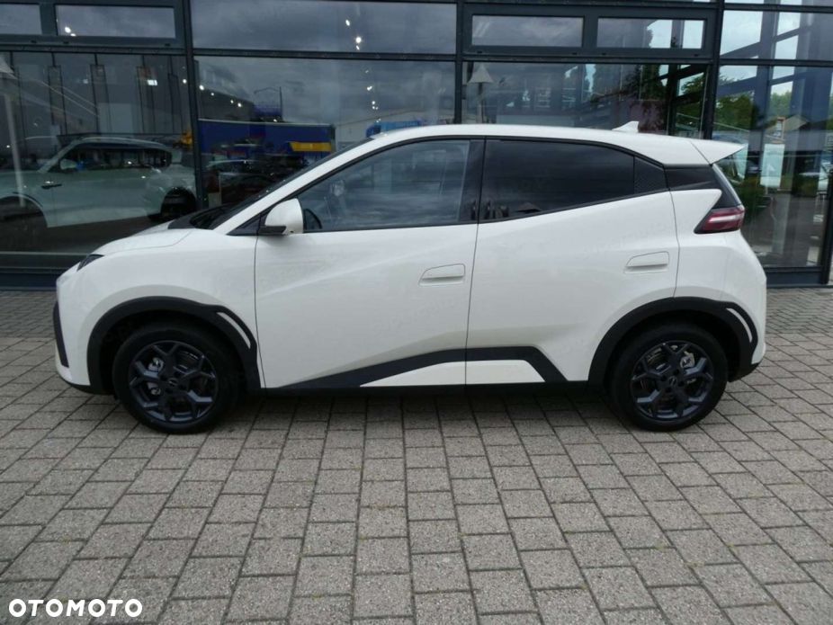 BYD Dolphin Surf - 2