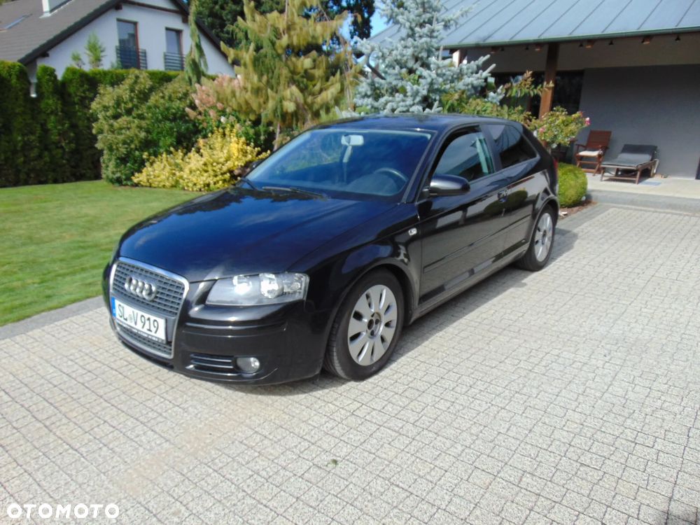 Audi A3 3-drzwiowe 1.9 TDI DPF Ambition - 8