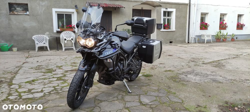 Triumph Tiger - 1