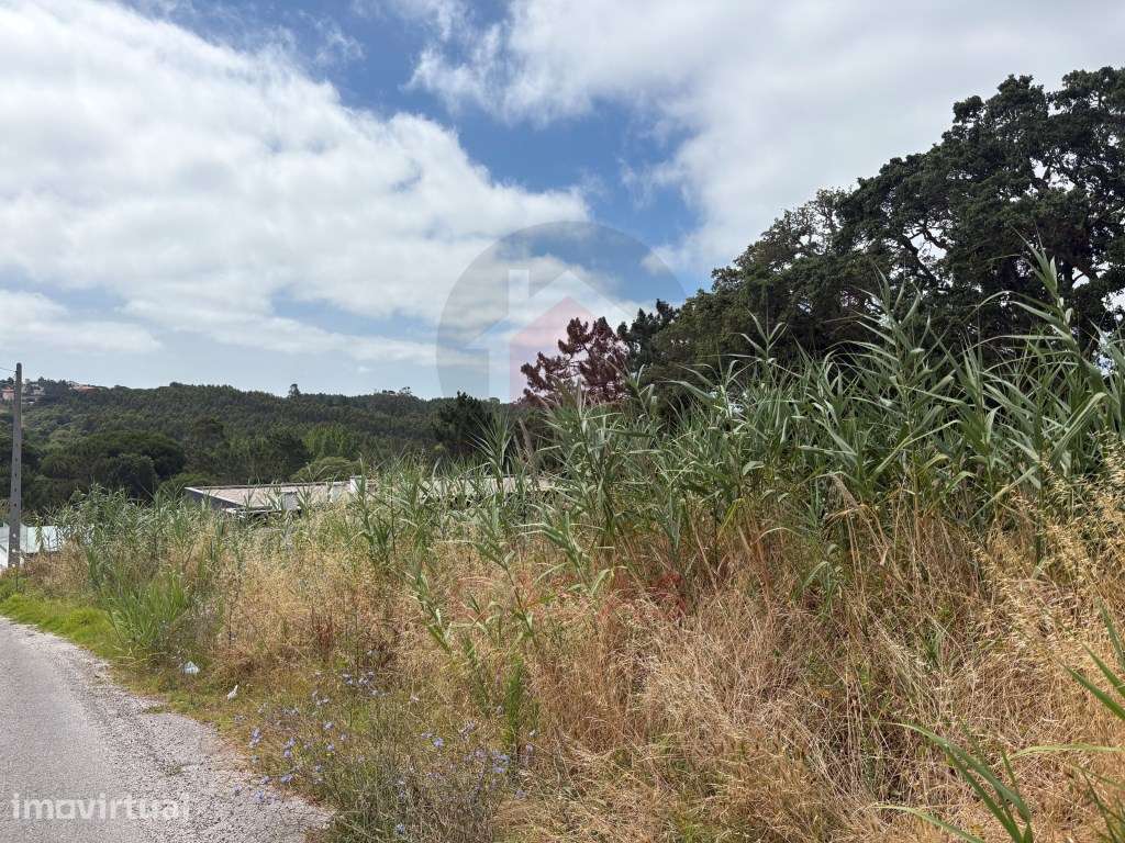 Terreno para construção no Nadadouro - Grande imagem: 4/5