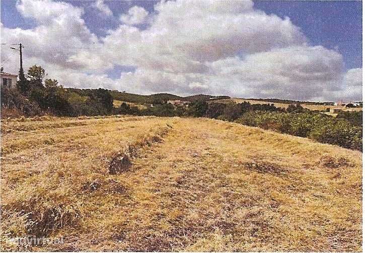 Moradia Rústica com Terreno Amplíssimo – Cotifo, Lagos/ Barão S. João - Grande imagem: 4/6