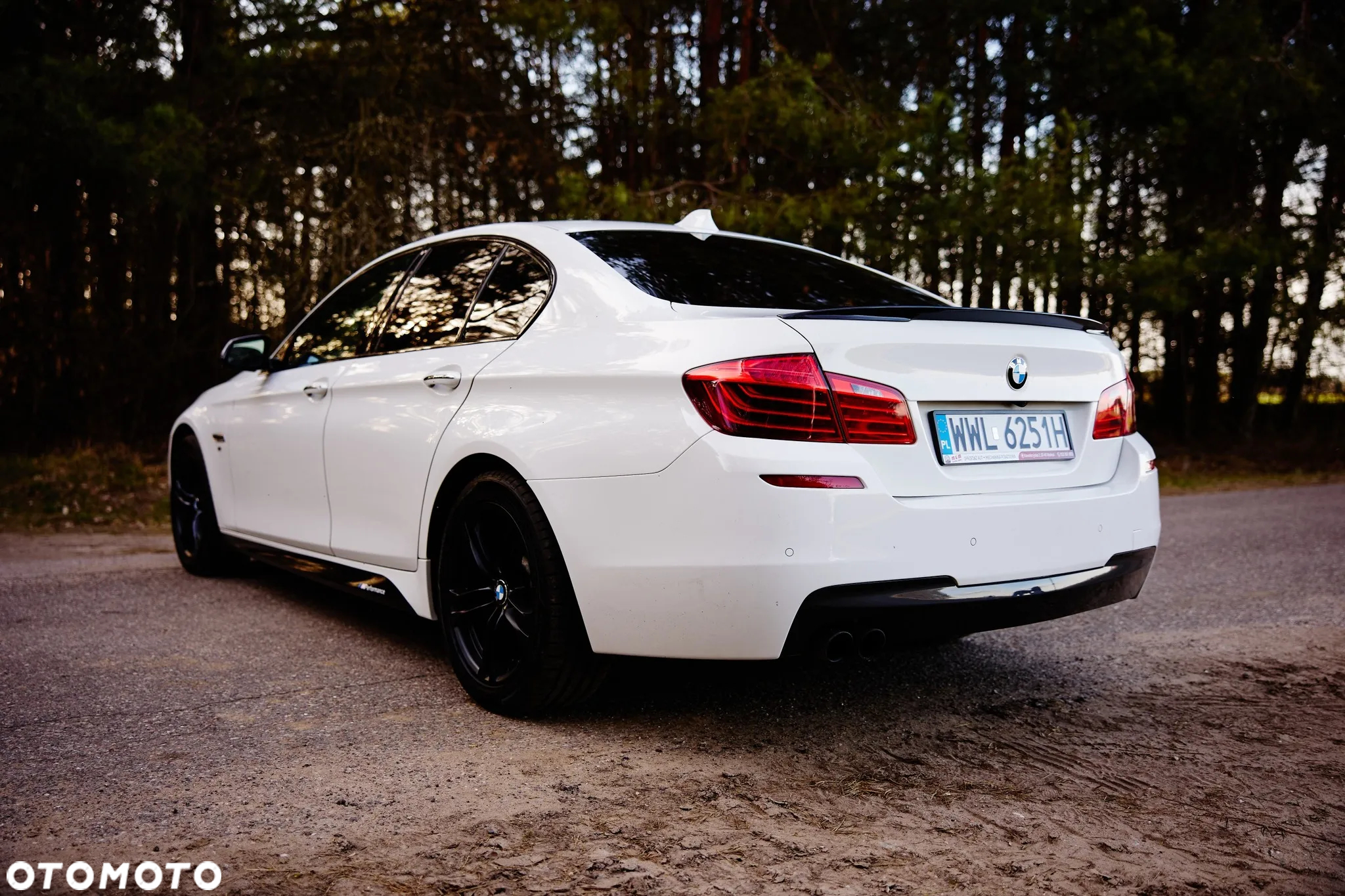 BMW Seria 5 528i xDrive Sport-Aut - 8