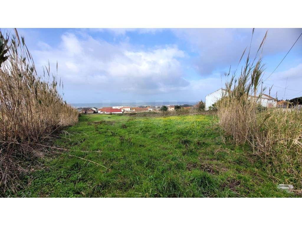 Terreno para construção, Usseira, Óbidos - Grande imagem: 4/16