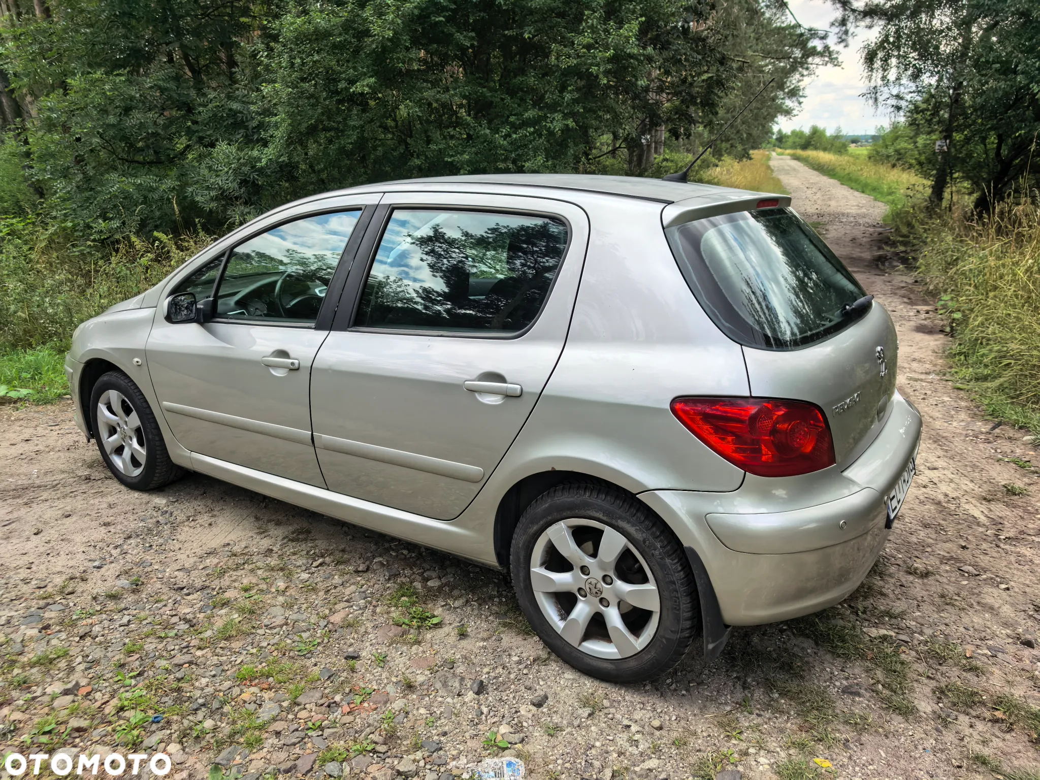 Peugeot 307 1.6 Oxygene - 10