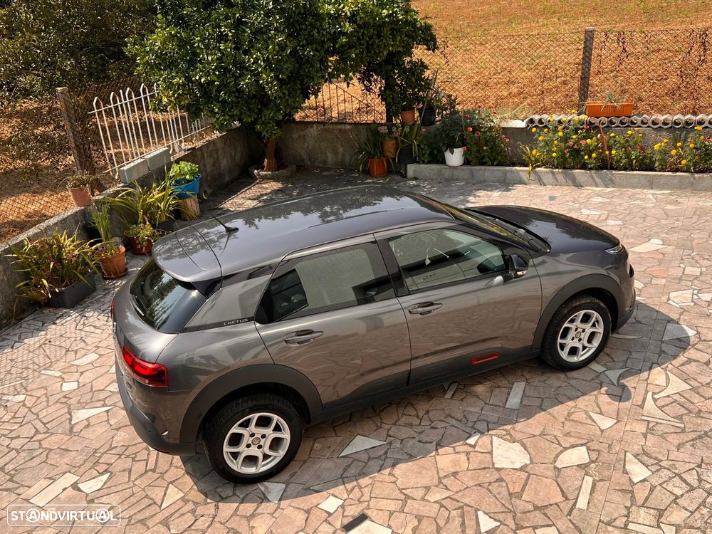 Citroën C4 Cactus 1.2 PureTech Feel - 19