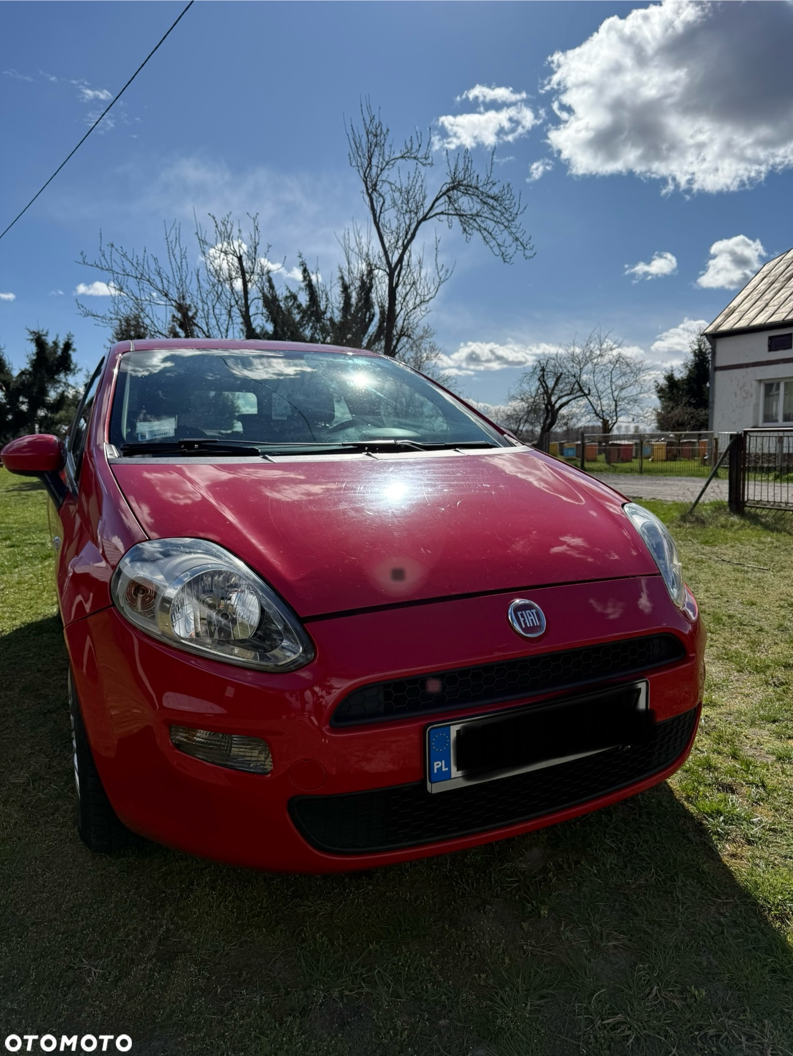 Fiat Punto - 7