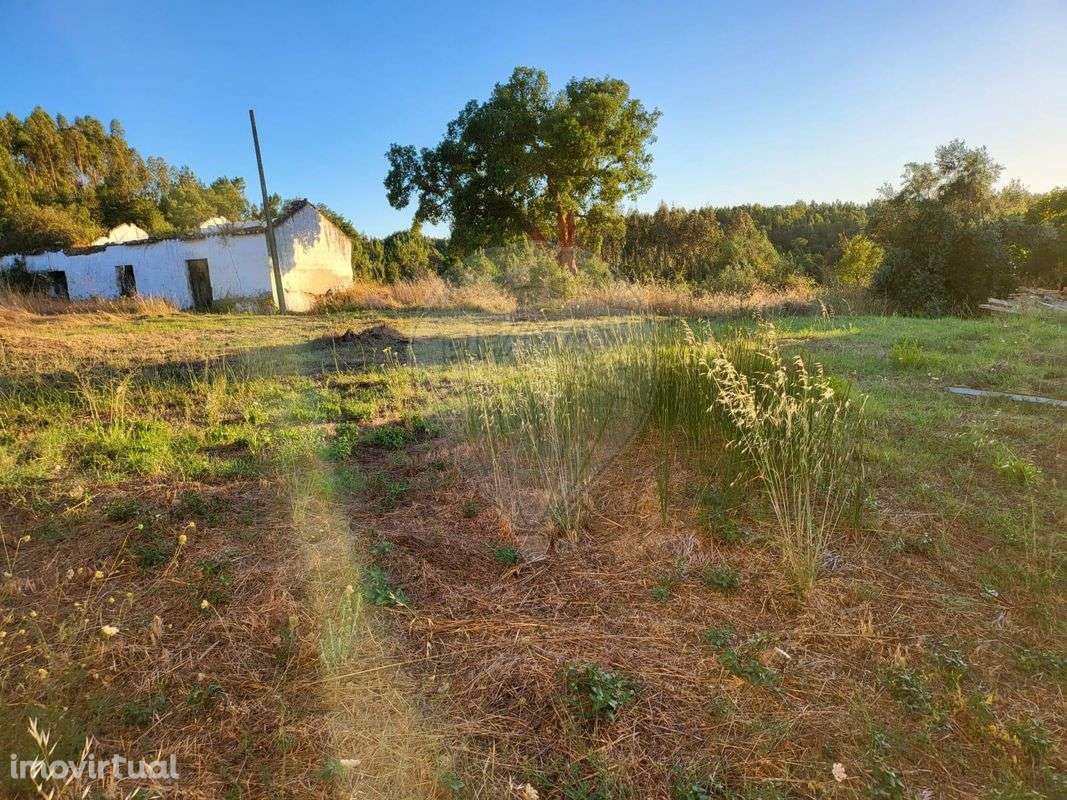 Terreno  para venda - Grande imagem: 4/5