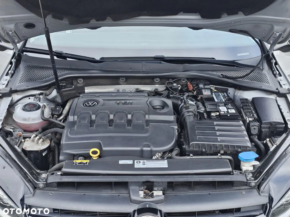 Volkswagen Golf - 19