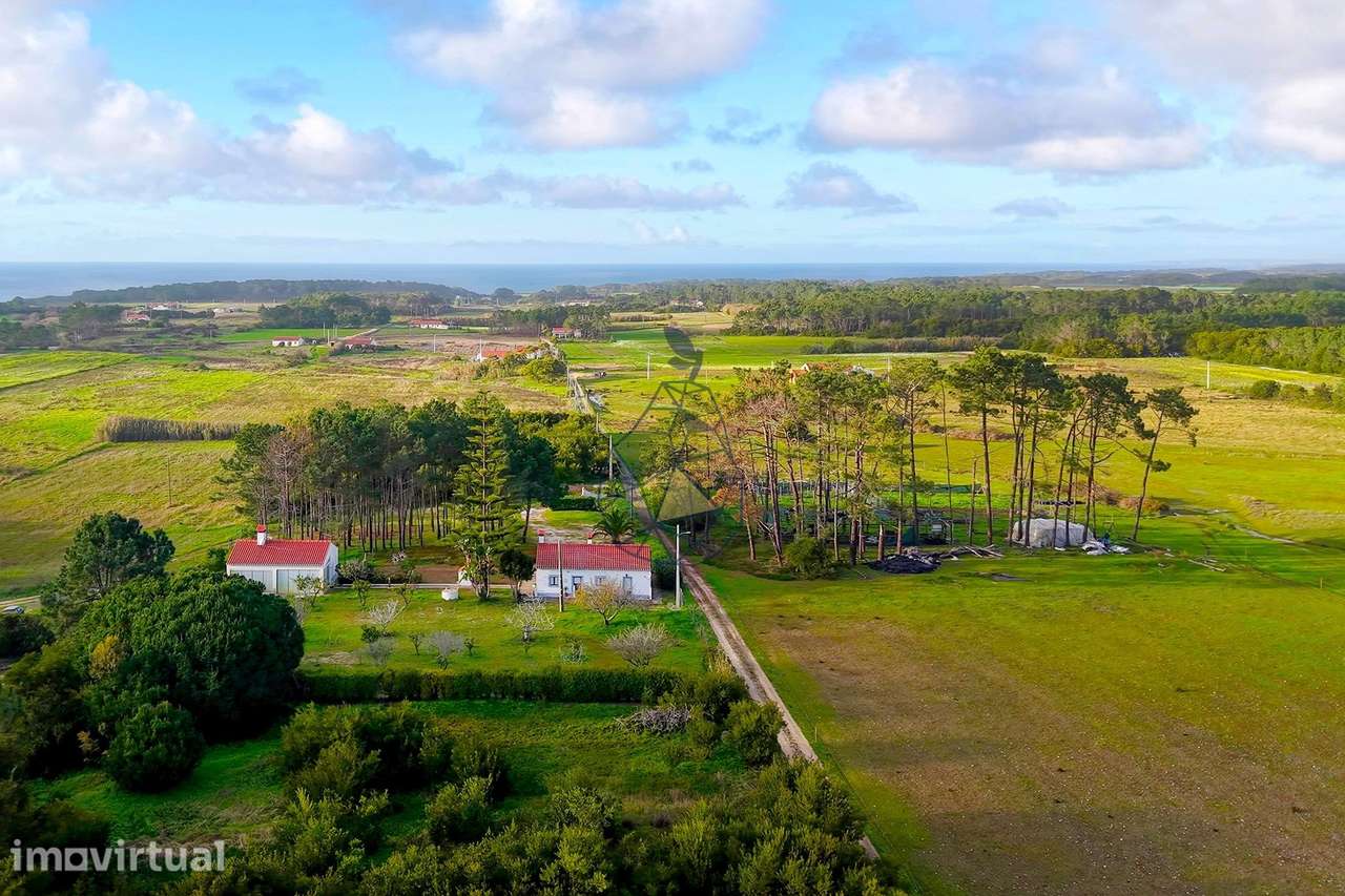 QUINTA SAMOUQUEIRA — EXCLUSIVA NA COSTA VICENTINA - 2KM PRAIA - ROGIL - Grande imagem: 3/60
