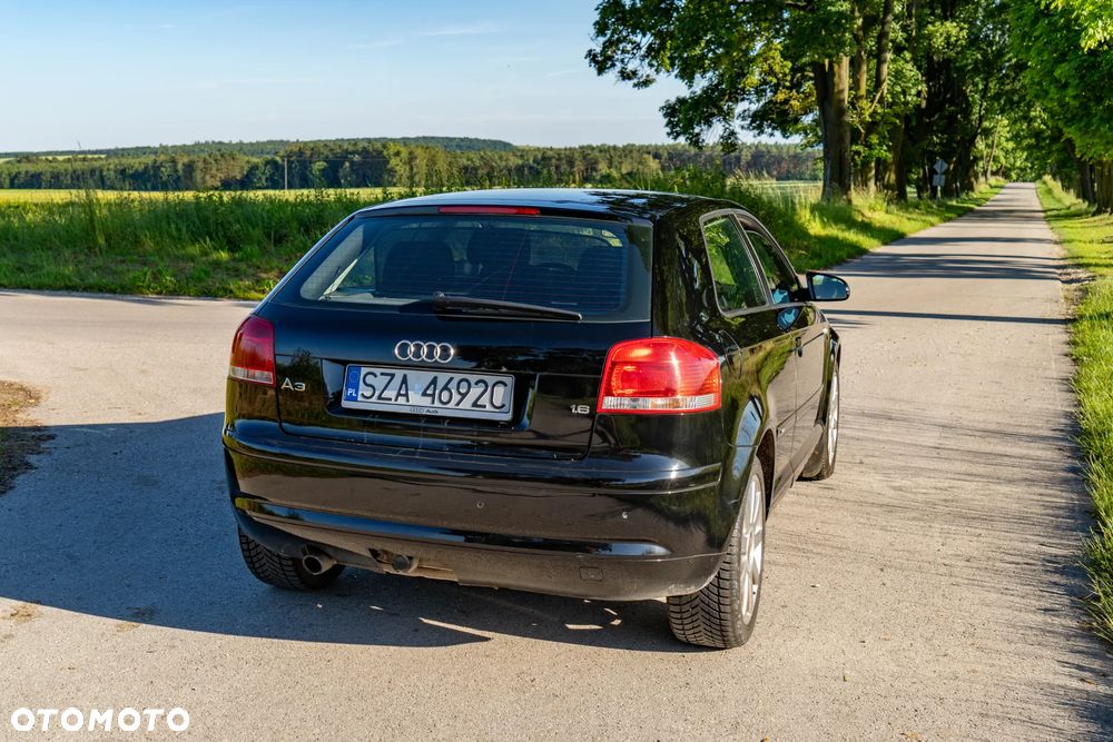 Audi A3 3-drzwiowe 1.6 Ambition - 5