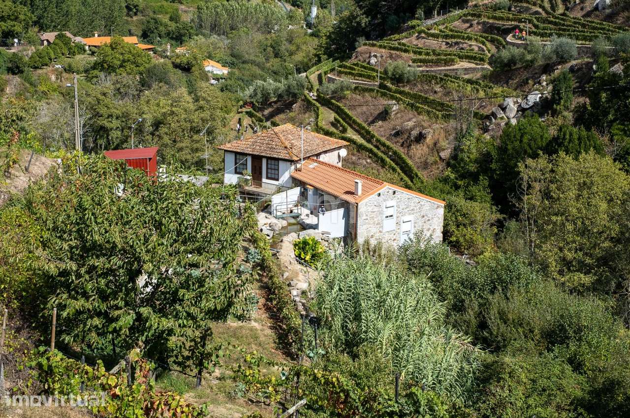 Casa de Habitação + 3 Moinhos de Água - Centro de Lamego - Grande imagem: 3/19