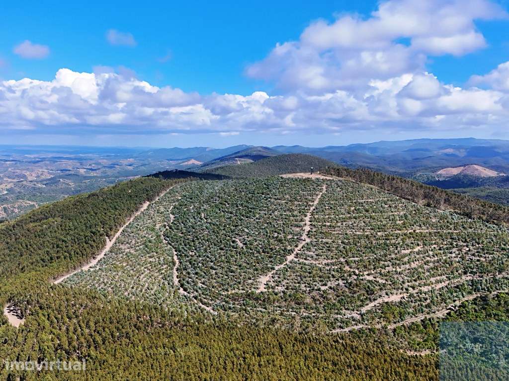 Terreno em São Teotónio, Odemira - Grande imagem: 3/29