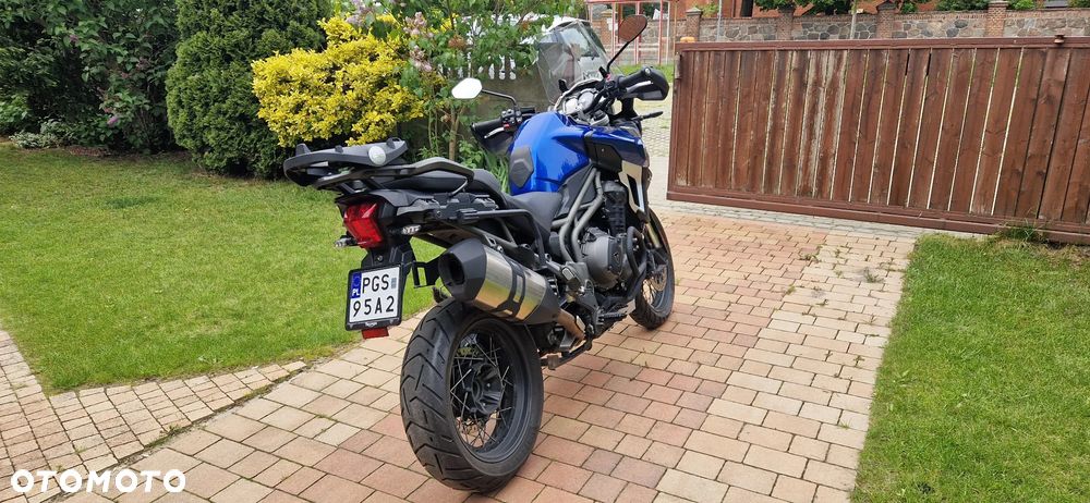 Triumph Tiger - 4