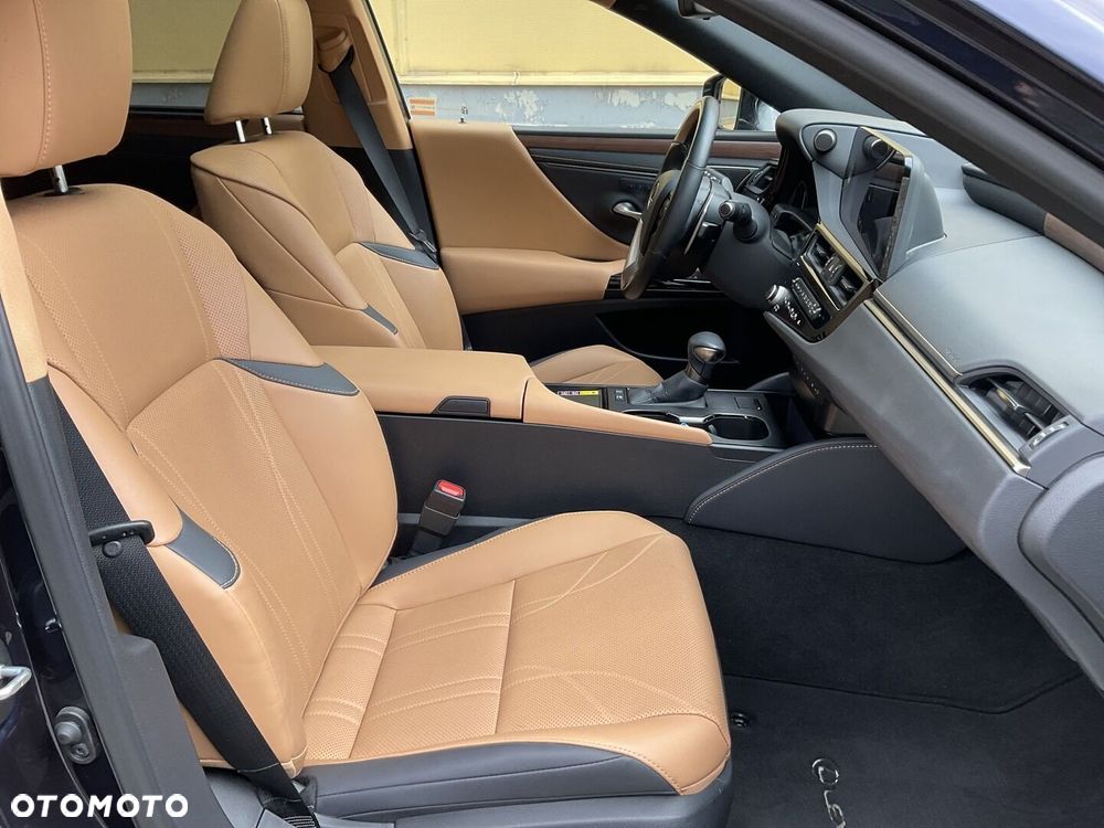 Lexus ES 300h Omotenashi - 11