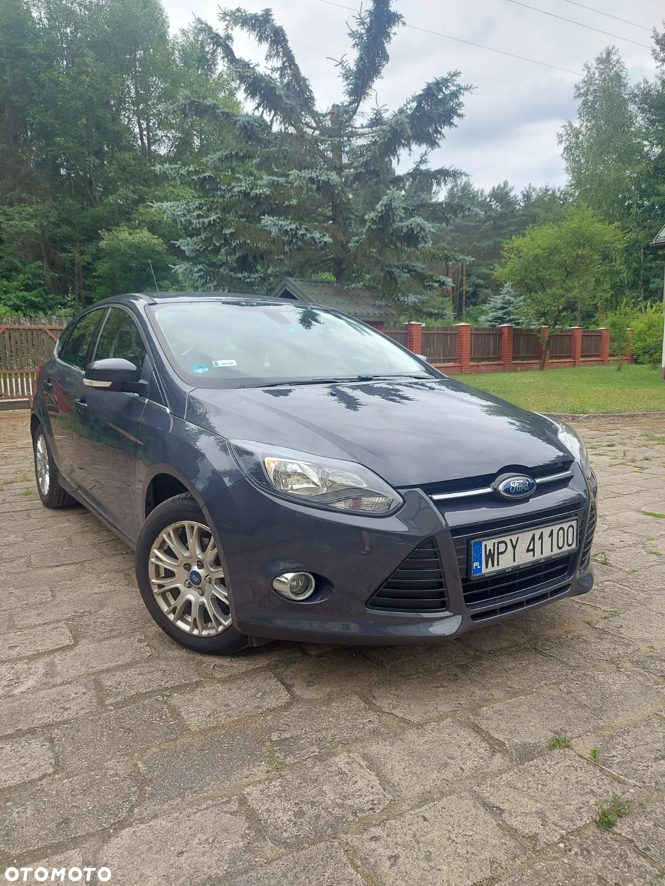 Ford Focus 1.6 TI-VCT Champions Edition - 1