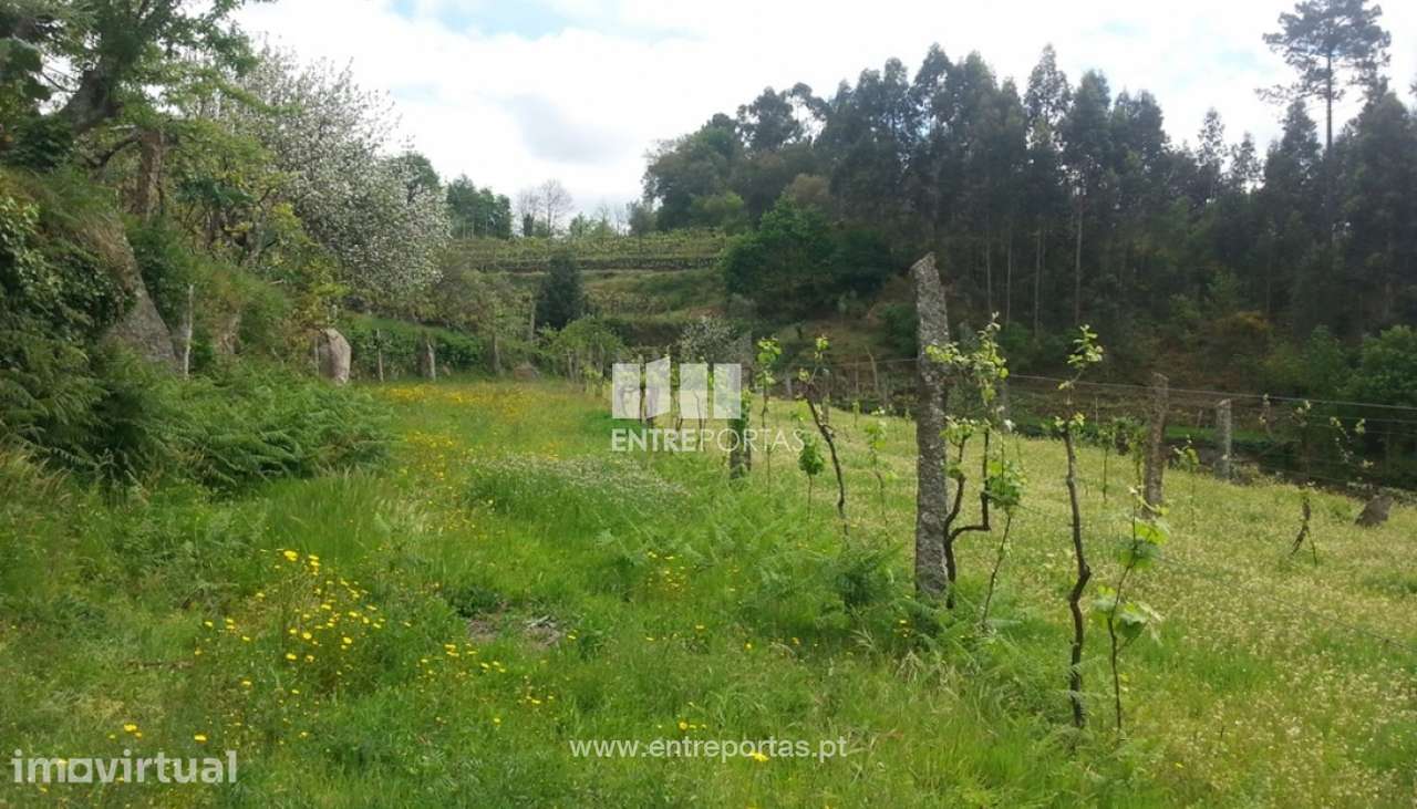 Venda Terreno, São Martinho de Sardoura, Castelo de Paiva - Grande imagem: 2/6