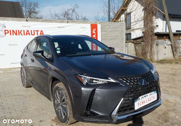 Lexus UX