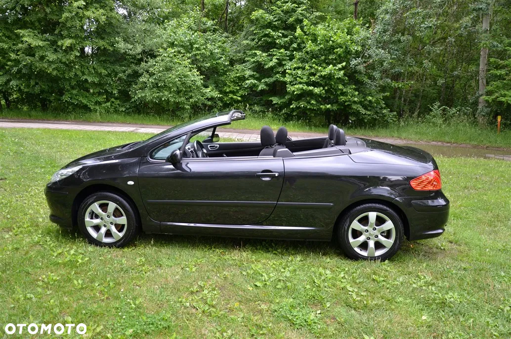 Peugeot 307 CC 140 Tendance - 12