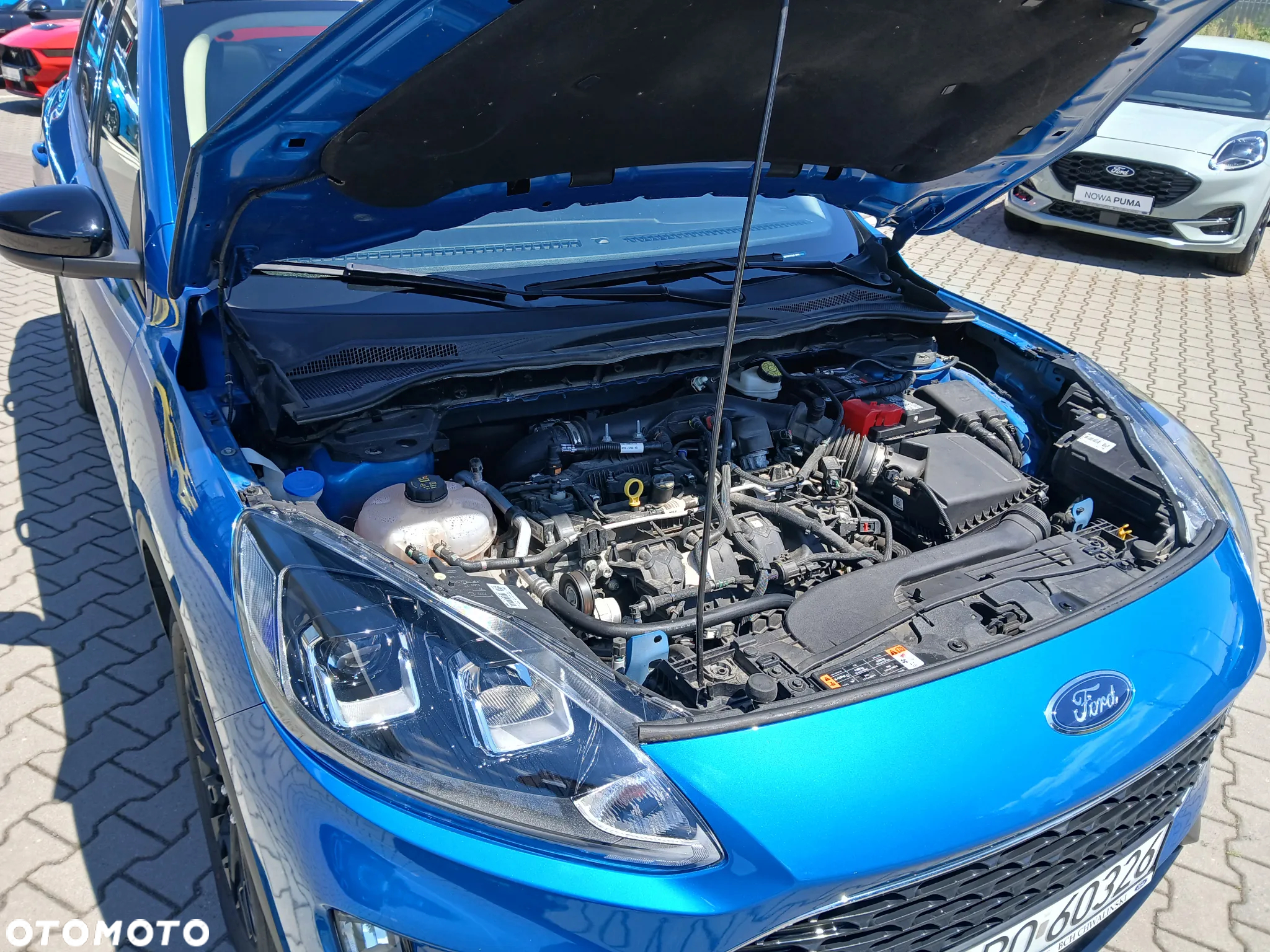 Ford Escape 2.0 EcoBoost AWD Titanium - 14