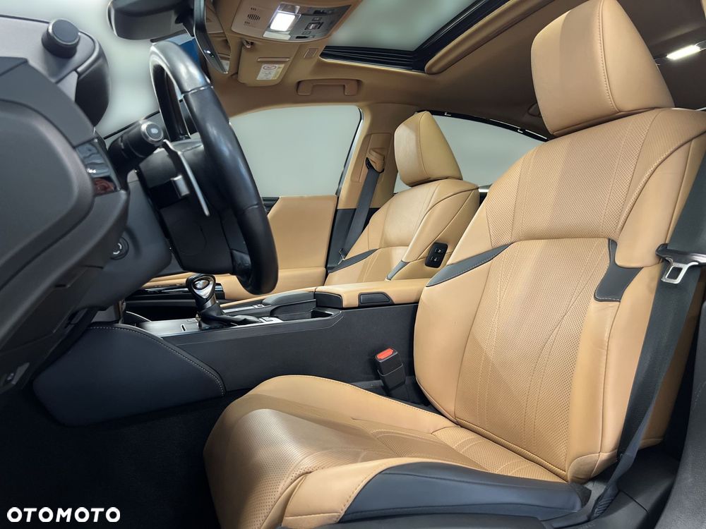 Lexus ES 300h Omotenashi - 19