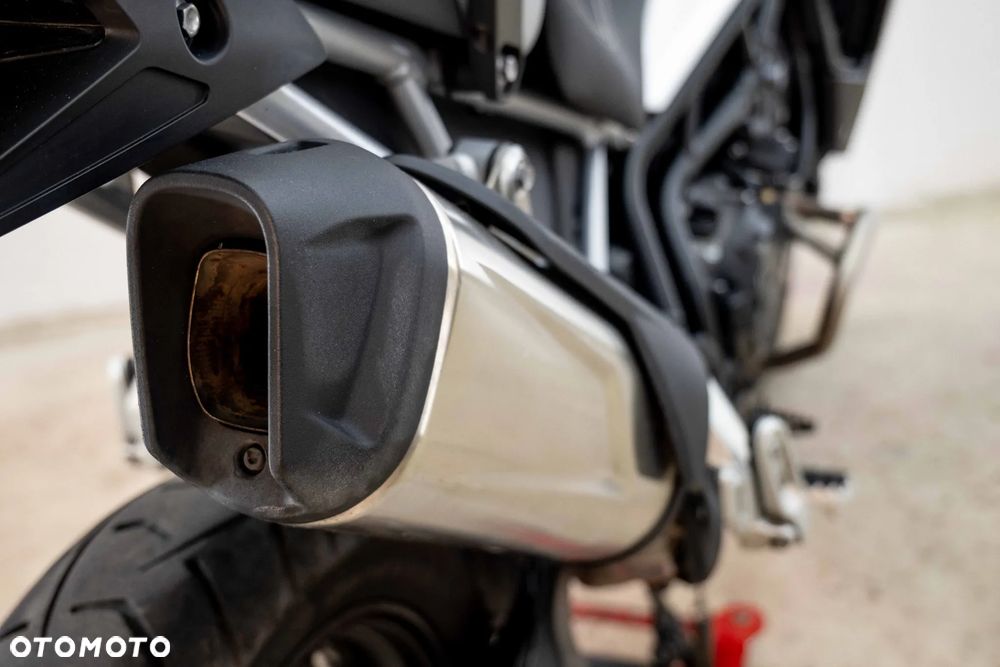Triumph Tiger - 16