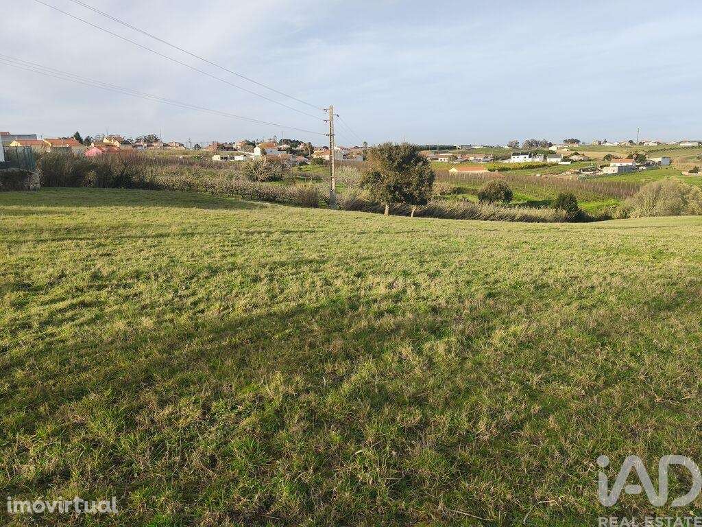 Terreno Agrícola em Cela - Grande imagem: 4/13