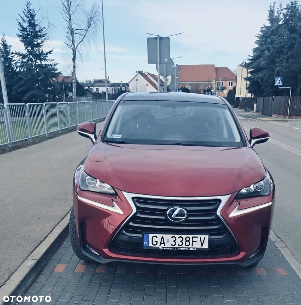 Lexus NX 300h Comfort AWD - 3