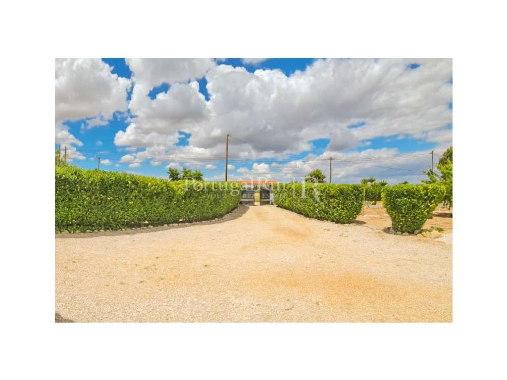 Quinta com Moradia T3 e 5.025 m² de Terreno em Benavente - Grande imagem: 2/51