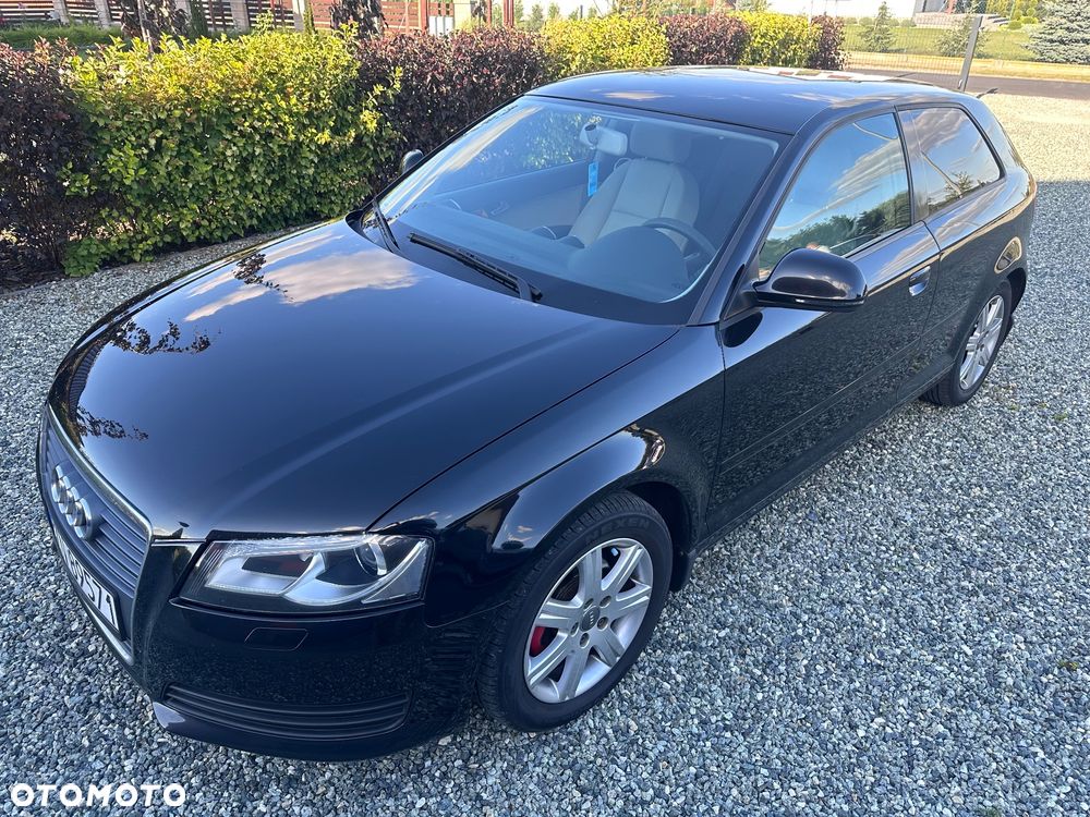 Audi A3 3-drzwiowe 1.6 Ambition - 7