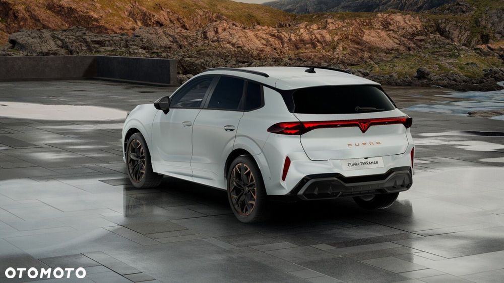 Cupra Terramar 2.0 TSI 4Drive DSG - 4