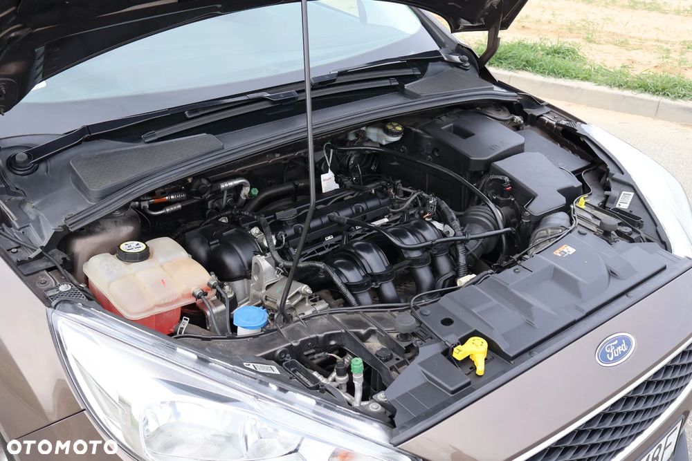 Ford Focus 1.6 Trend - 7