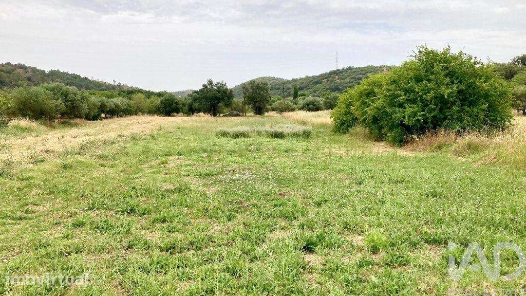 Terreno Agrícola em São Brás de Alportel - Grande imagem: 5/10