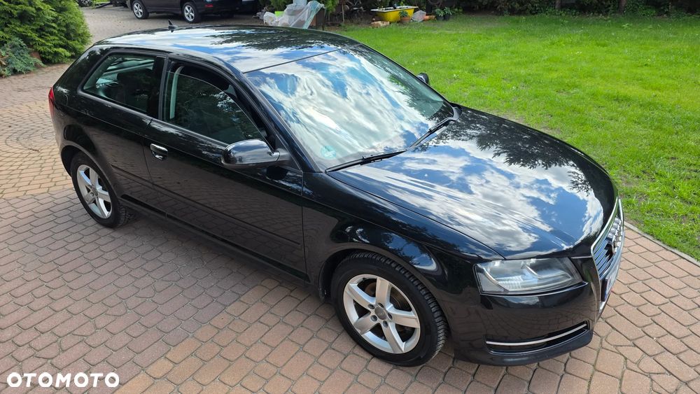 Audi A3 3-drzwiowe 1.6 TDI DPF Attraction - 13